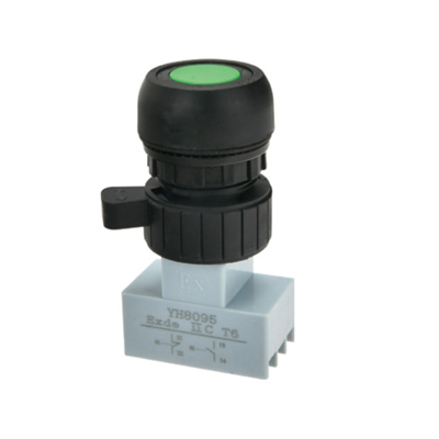 8095 防爆控制按钮