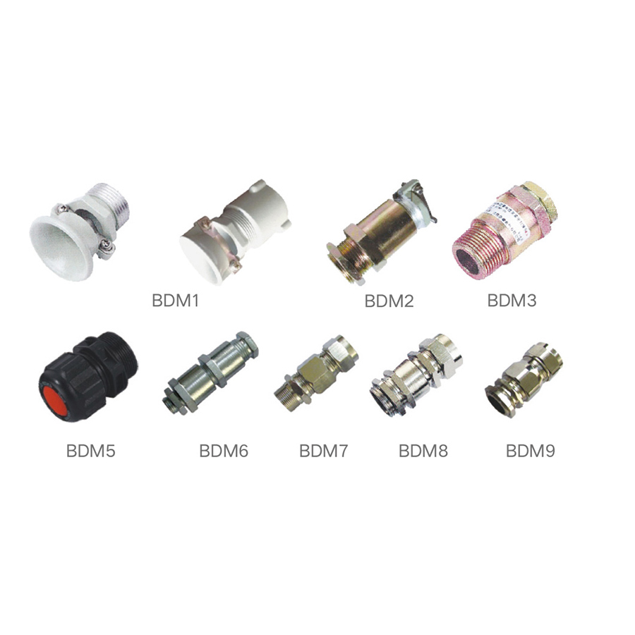 BDM 系列防爆隔离密封管接头